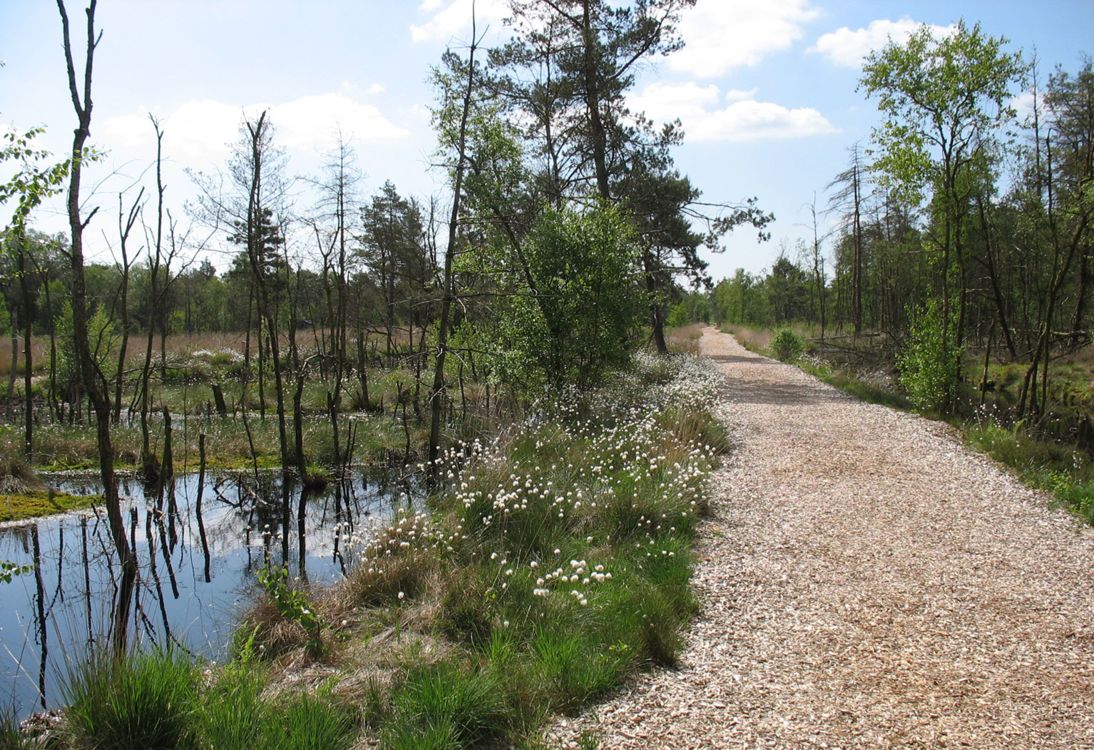 Moorerlebniszone Tister Bauernmoor