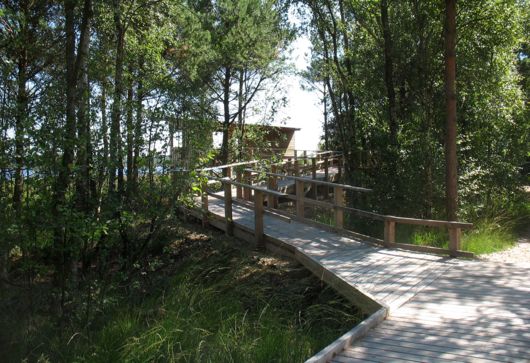 Weg zum barrierenfreien Beobachtungsturm